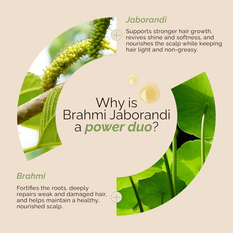 Richfeel Brahmi Intensive Repair Hair Pack | Controls Hair Fall | Treats Damage, Split Ends and Breakage | Deep Conditioning |Trichologist Formulated | 500g thumbnail 4