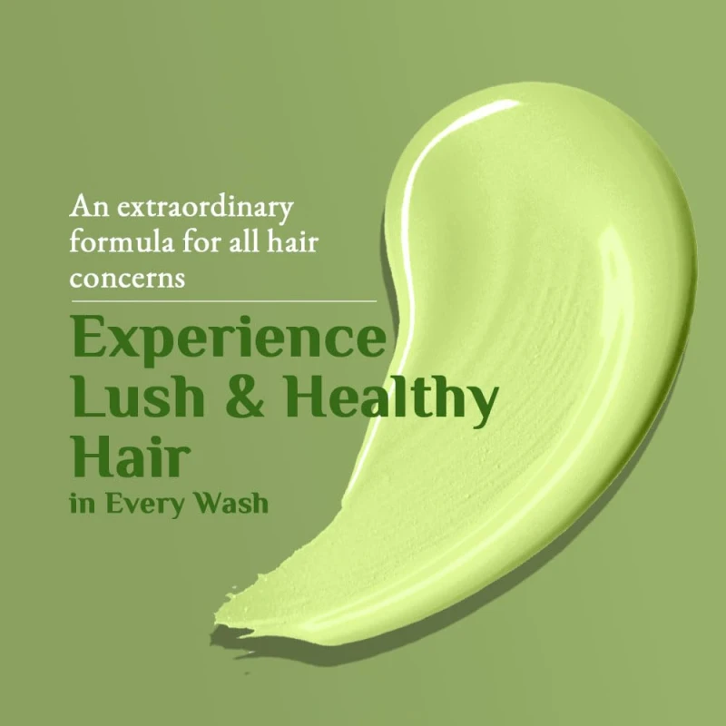 Richfeel Green Apple Shampoo For Dry &amp; Damaged Hair | Anti Dandruff | Promotes Healthy, Shiny and Glossy Hair | Nourishes Scalp | Makes Hair Soft &amp; Smooth | All Skin Types | 500 ml - Thumbnail 9